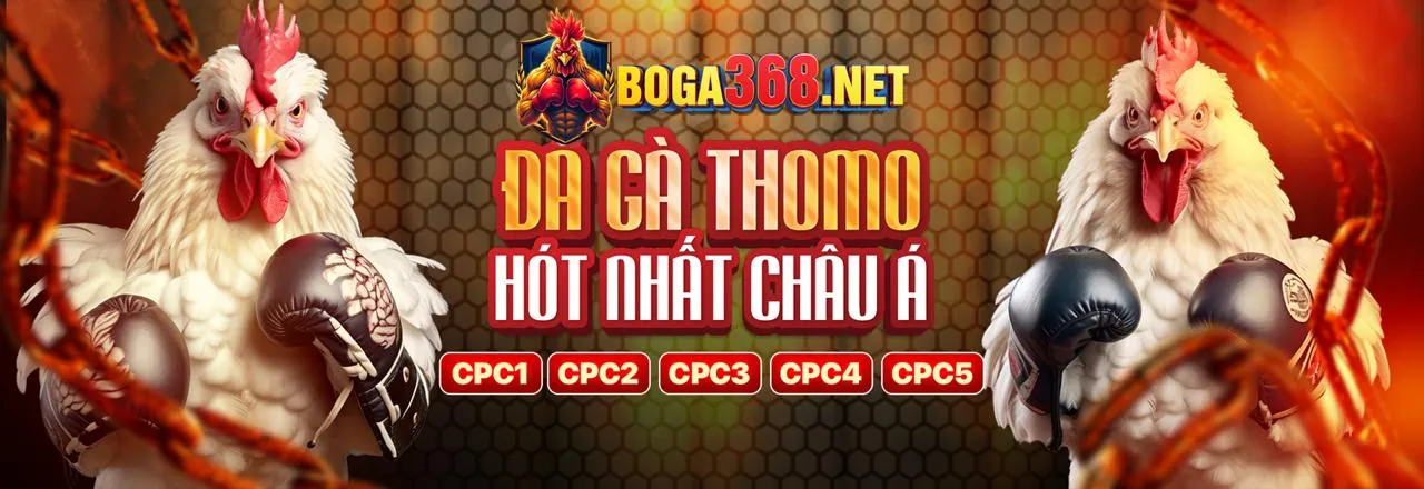 Khái niệm cờ bạc có trách nhiệm tại bét tô ven